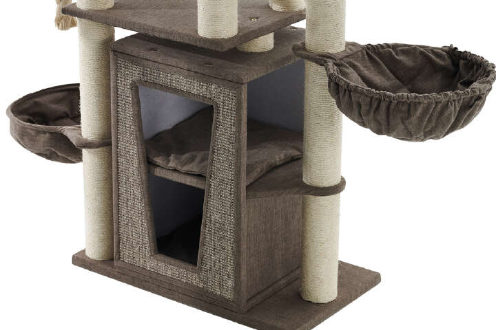 Nobby Kratzbaum Hital